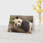 Panda SD010 Karte (Gelbe Blume)
