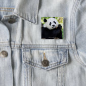 Panda-Sitzen Button (Beispiel)
