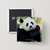 Panda-Sitzen Button (Vorne & Hinten)