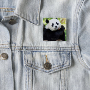 Panda-Sitzen Button