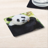 Panda-Sitzen Rechteckiger Pappuntersetzer (angewinkelt)