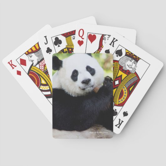 Panda-Sitzen Spielkarten (Rückseite)