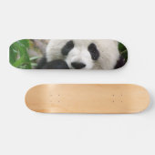Panda-Skateboard Skateboard (Horizontal)