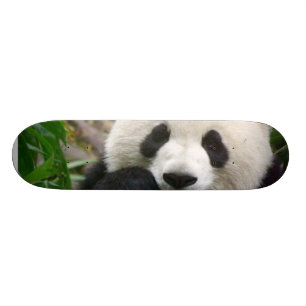 Panda-Skateboard Skateboard