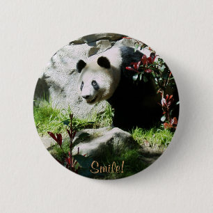 Panda Smile! Button