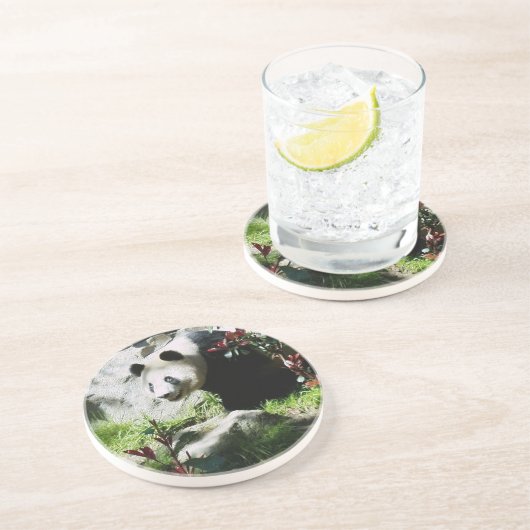 Panda Smile Getränkeuntersetzer (Seite)