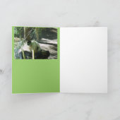 Panda Smile Karte (Innenseite)