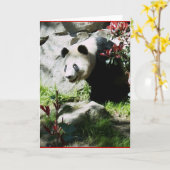 Panda Smile Karte (Gelbe Blume)
