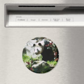 Panda Smile Magnet (In Situ (Geschirrspüler))