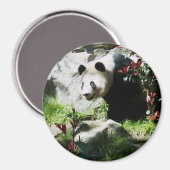 Panda Smile Magnet (Vorderseite/Rückseite)