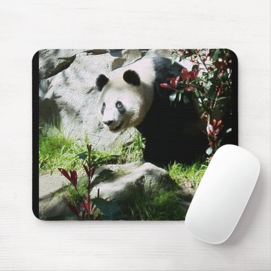 Panda Smile Mousepad (Mit Mouse)