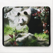 Panda Smile Mousepad (Vorne)