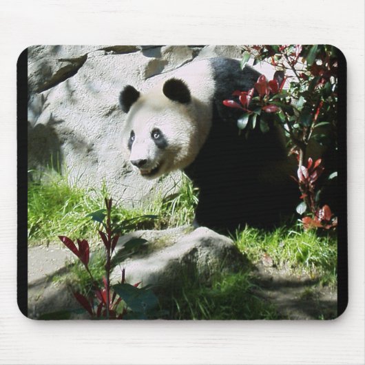 Panda Smile Mousepad (Vorne)