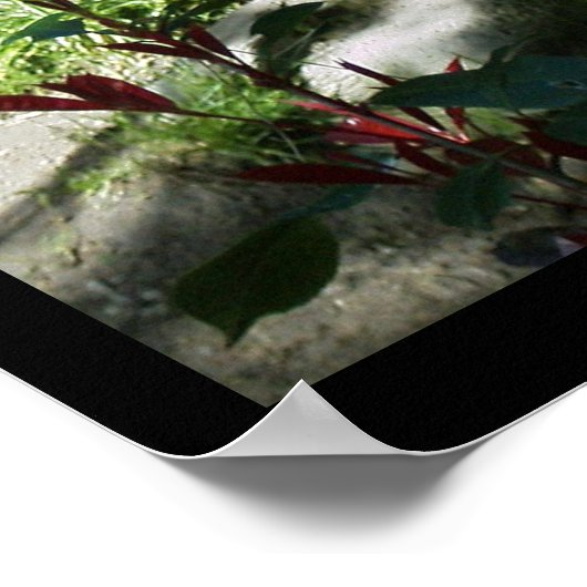 Panda Smile Poster (Ecke)