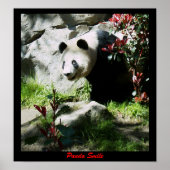 Panda Smile Poster (Vorne)