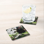 Panda Smile Untersetzer (Vor Ort)