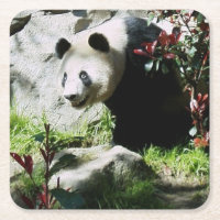 Panda Smile Untersetzer