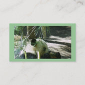 Panda Smile Visitenkarten Visitenkarte (Rückseite)