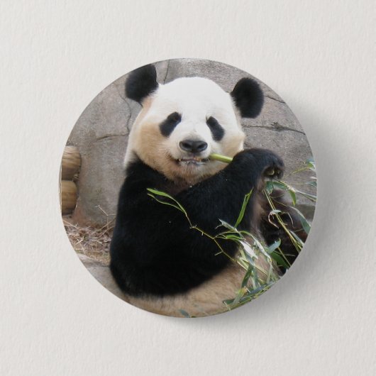 Panda Snack Button (Vorderseite)