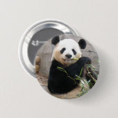 Panda Snack Button (Vorne & Hinten)