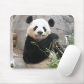 Panda Snack Mousepad (Mit Mouse)