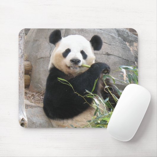 Panda Snack Mousepad (Mit Mouse)
