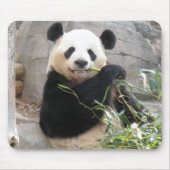 Panda Snack Mousepad (Vorne)