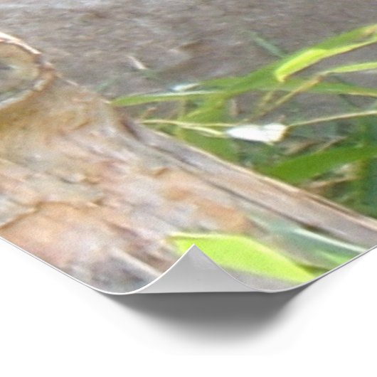 Panda Snack Poster (Ecke)