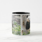 Panda Snack Tasse (Zentrum)