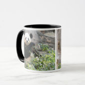 Panda Snack Tasse (Vorderseite Links)