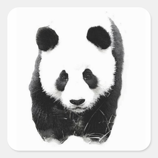 Panda Square Sticker (Vorderseite)