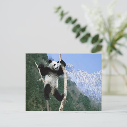 Panda steckte in Bäumen fest Postkarte (Stehend Vorderseite)