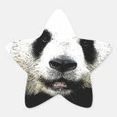 Panda Stern-Aufkleber (Vorderseite)