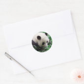 Panda Sticker (Umschlag)