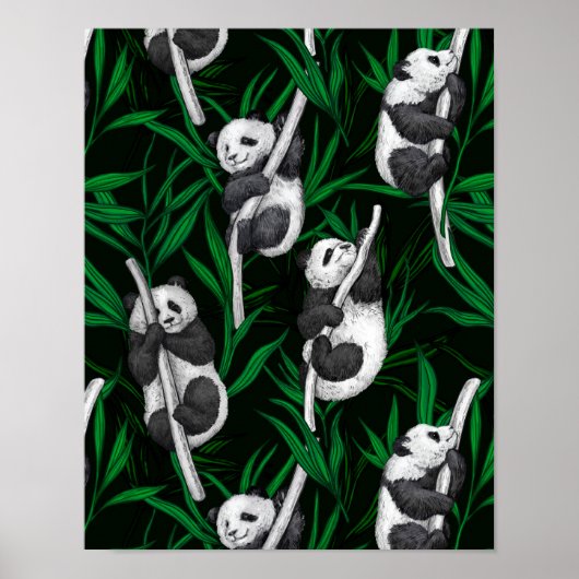 Panda-Sträucher auf dunkelgrüner Ebene Poster (Vorne)