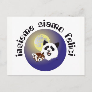 Panda Treffen Postkarte