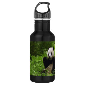 Panda Trinkflasche