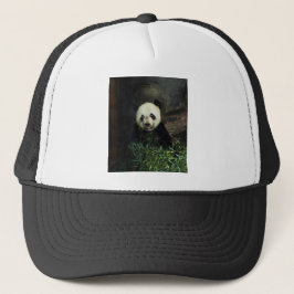 Panda Truckerkappe