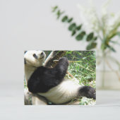 Panda und Bamboo Postcard Postkarte (Stehend Vorderseite)