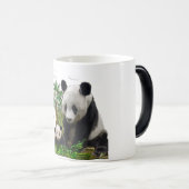 Panda Verwandlungstasse (VorderseiteRechts)
