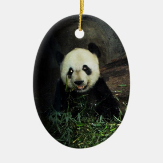 Panda-Verzierung ~ Arten-Reihe Keramik Ornament (Vorne)