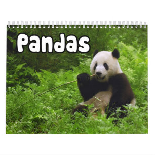 Panda-Wandkalender Kalender