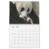 Panda-Wandkalender Kalender (Mär 2026)