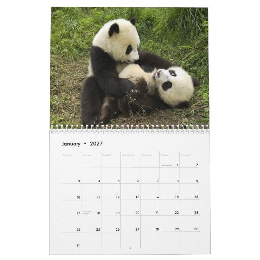 Panda-Wandkalender Kalender (Jan 2027)