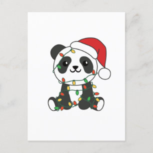 Panda Weihnachten Wintertiere Pandas