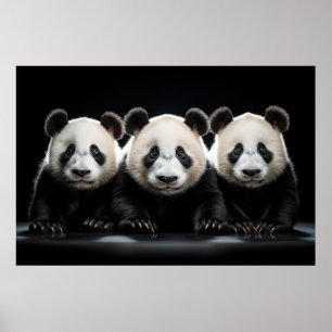 Panda Wild Animal Portrait Nature Beauty Poster