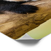 Panda Wildtier Liebhaberporträt Poster (Ecke)
