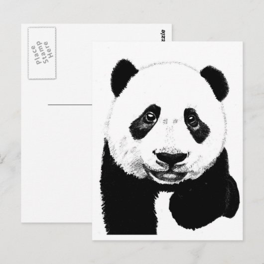 Panda zeichnend postkarte (Vorne/Hinten)