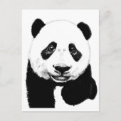 Panda zeichnend postkarte (Vorderseite)