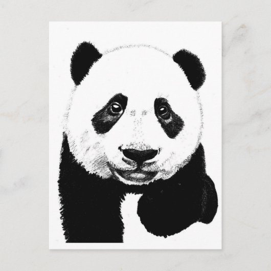 Panda zeichnend postkarte (Vorderseite)
